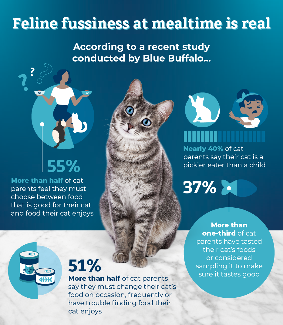 Feline fussiness infographic